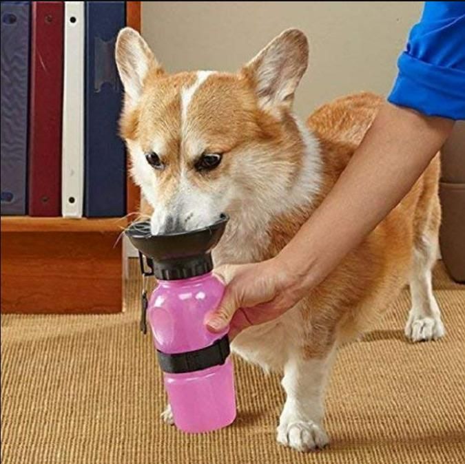Portable Dog Water Bottle